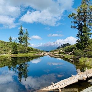 More To List soon...